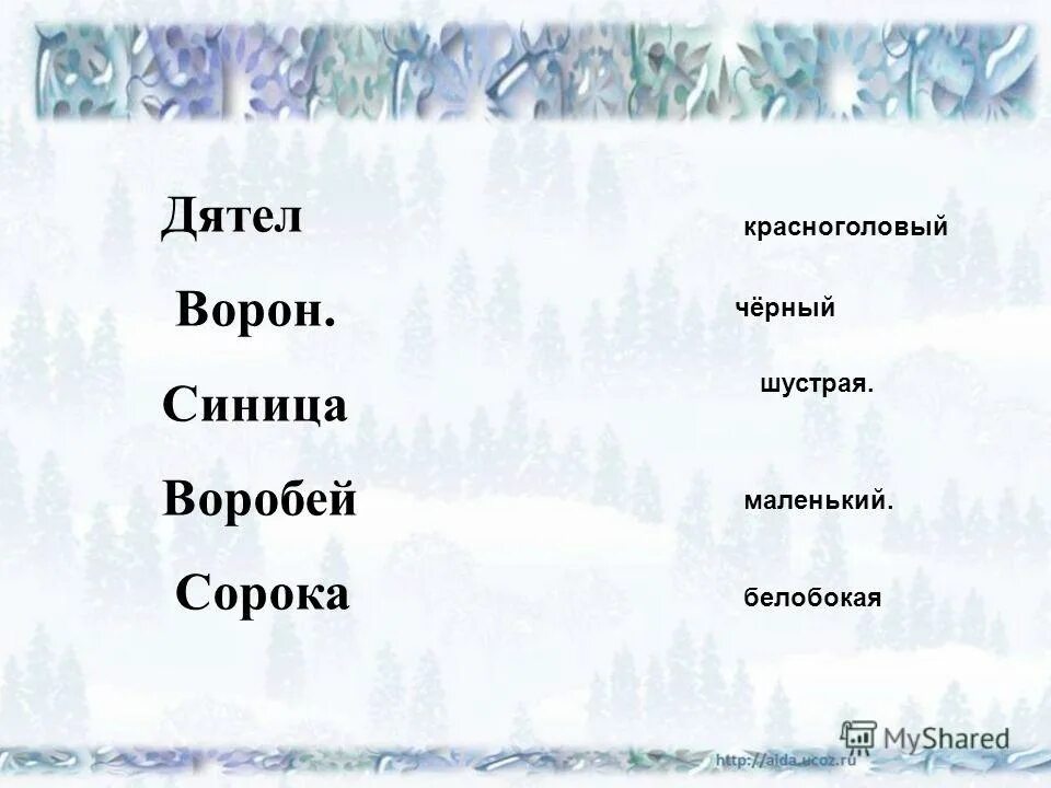 сорока какая прилагательные. сорока какая признаки.