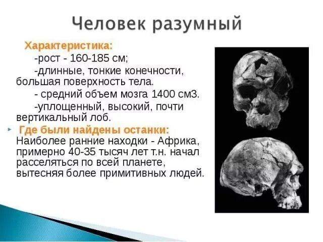 Свойство человека разумного. Характеристика вида хомо сапиенс. Люди современного типа кроманьонцы. Неоантропы кроманьонцы. Свойство человека разумного.