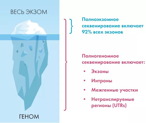 Экзомное секвенирование. Анализ полное секвенирование экзома. клиническое секвенирование экзома что это. полное сканирование экзома. экзома анализ генетика.