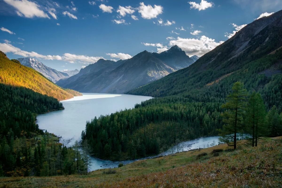 алтай оне. золотые горы алтая юнеско. алтай оне. катунский биосферный заповедник. маашей (озеро).