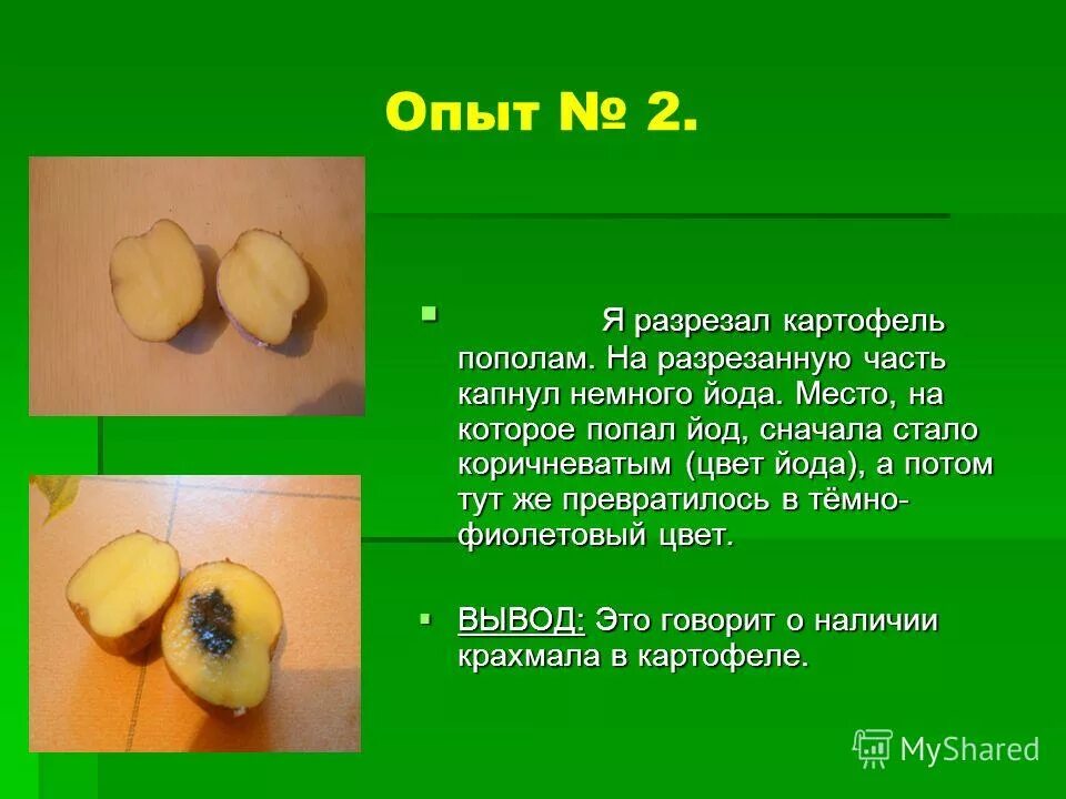 Опыт с картофелем и йодом. Опыт с картошкой. Опыт с картошкой и соленой водой. Опыт с картофелем и йодом. Опыты с картофелем.
