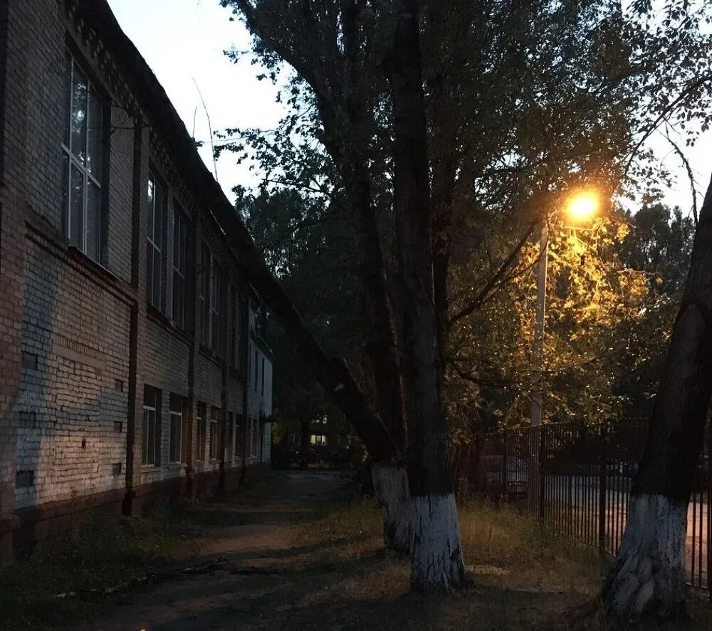 Что случилось в брянской школе. Что случилось в брянской школе