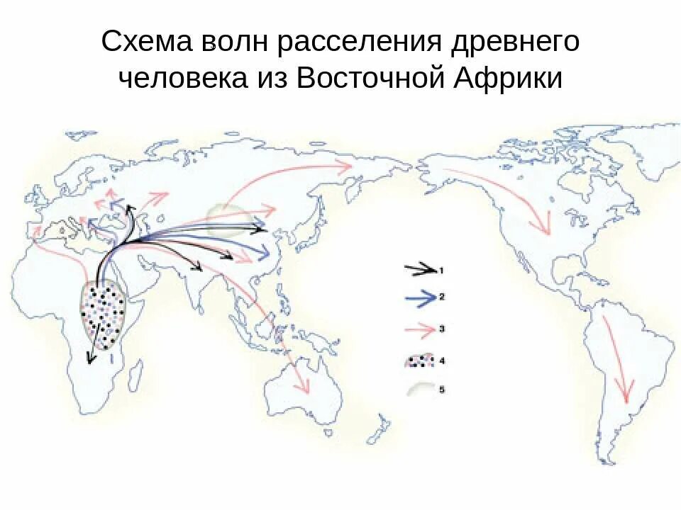 Расселение древних людей. Схема расселения древних людей. Карта расселения древних людей. Схема расселения человека по земле. Расселение человека из Африки карта.