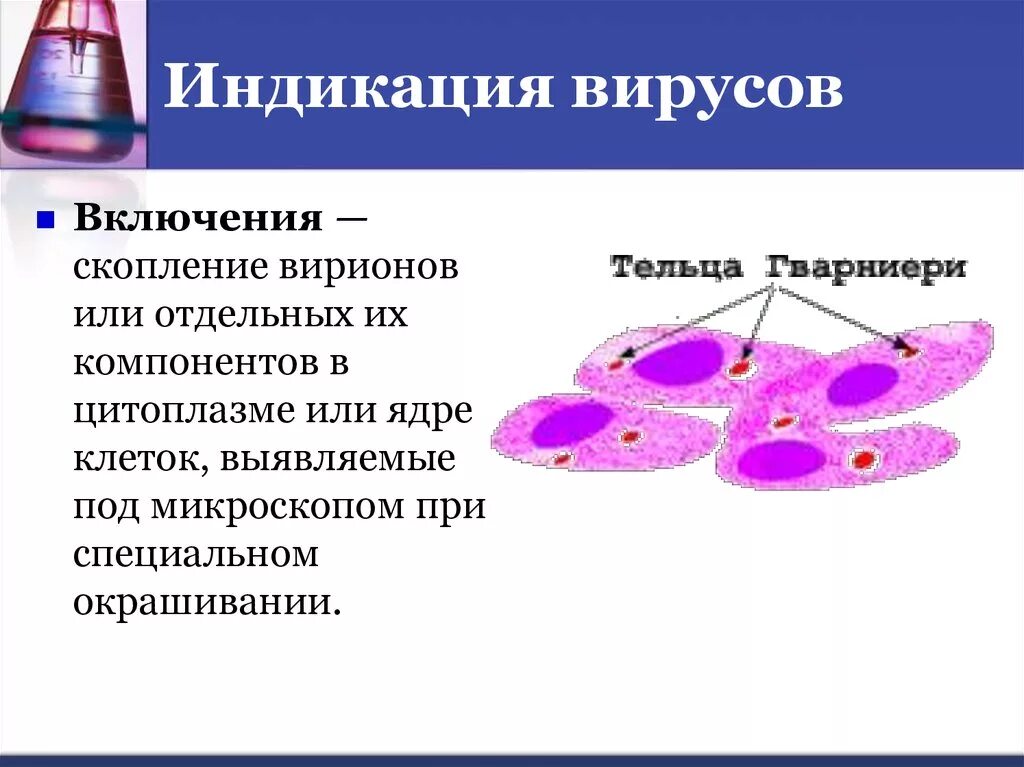 Включи вирусная. Вирусное видео. Природа вирусных включений. Trustport total protection. Индикация патогенных вирусов.