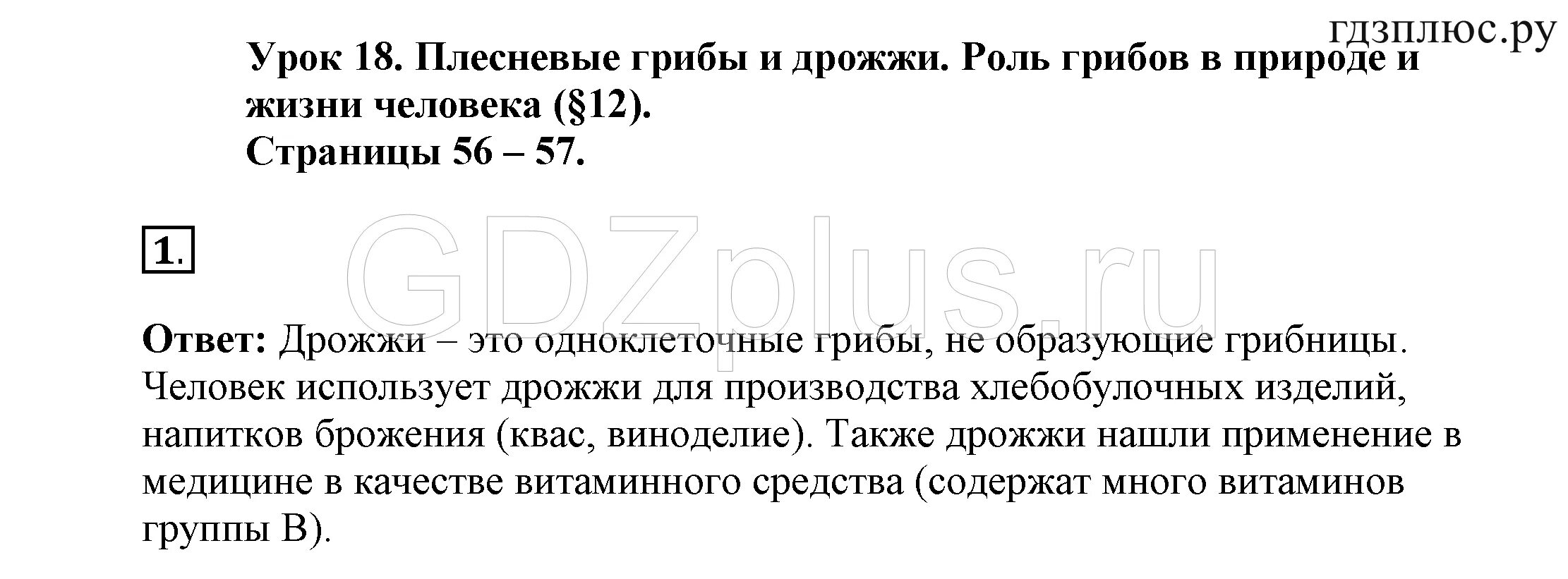 Тесты к учебнику пасечника 5 класс. Биология 5 класс рабочая тетрадь Пасечник. Пасечник 5 класс биология 5. Биология 5 класс рабочая тетрадь Пасечник стр 33.