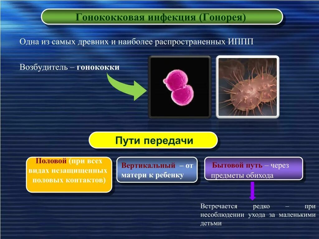 4 иппп. Инфекции передаваемые пол путем возбудитель инфекции. Гонорея возбудитель инфекции способ передачи. Способы передачи болезней,передаваемые половым путем. Гонорея ИППП возбудитель.