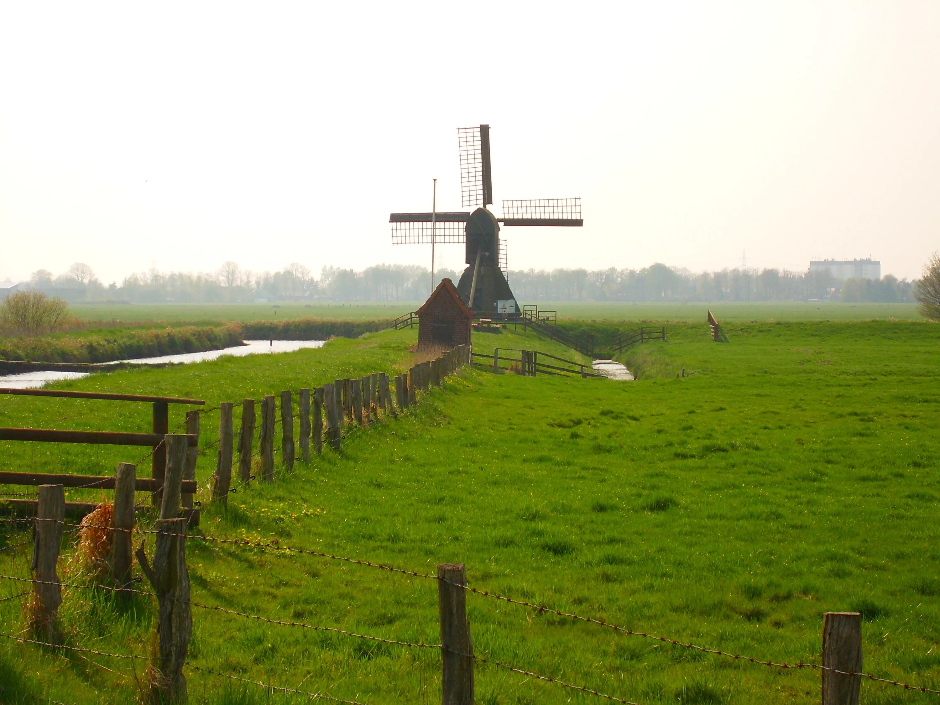 Вьетнам рисовые плантации. Great field. Суссекс графство в англии. Желтые горные цветы. Поле с желтыми цветами.