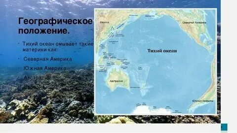 Какие страны и материки омывает тихий океан