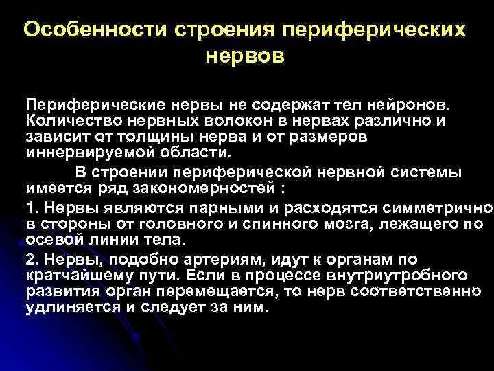 К структурам периферического нерва относят. Особенности строения периферической нервной системы. Особенности периферических нервов. Анатомо-физиологические особенности периферической нервной системы. Строение периферического нерва.