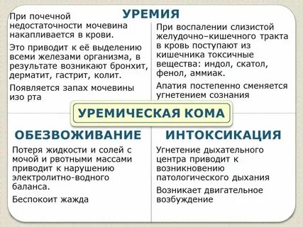 Уремия это в медицине
