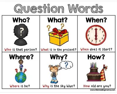 What where when who why wordwall