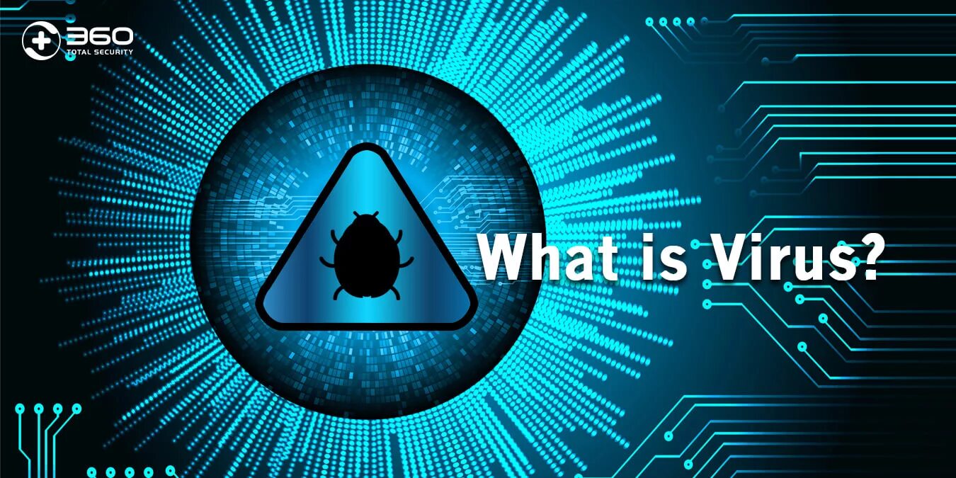 First computer virus