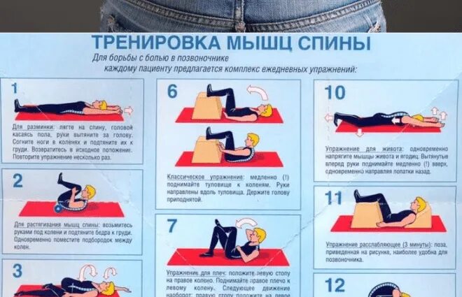 Упражнение для седалищного нерва в пояснице. Лечебная физкультура при защемлении в спине. гимнастикк при щащемлении пояс. упражнения для укрепления мышц спины. упражнения при защемлении нерва в пояснице.