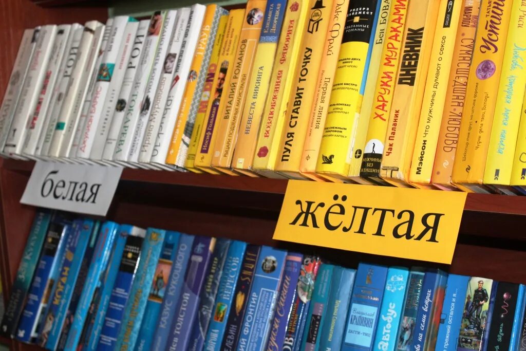 Книга не помню название