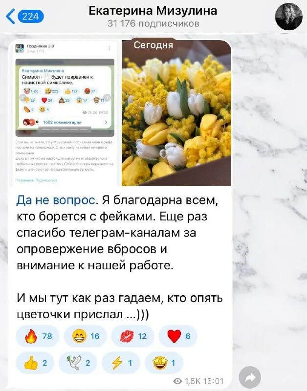 телеграм канал екатерины мизулиной