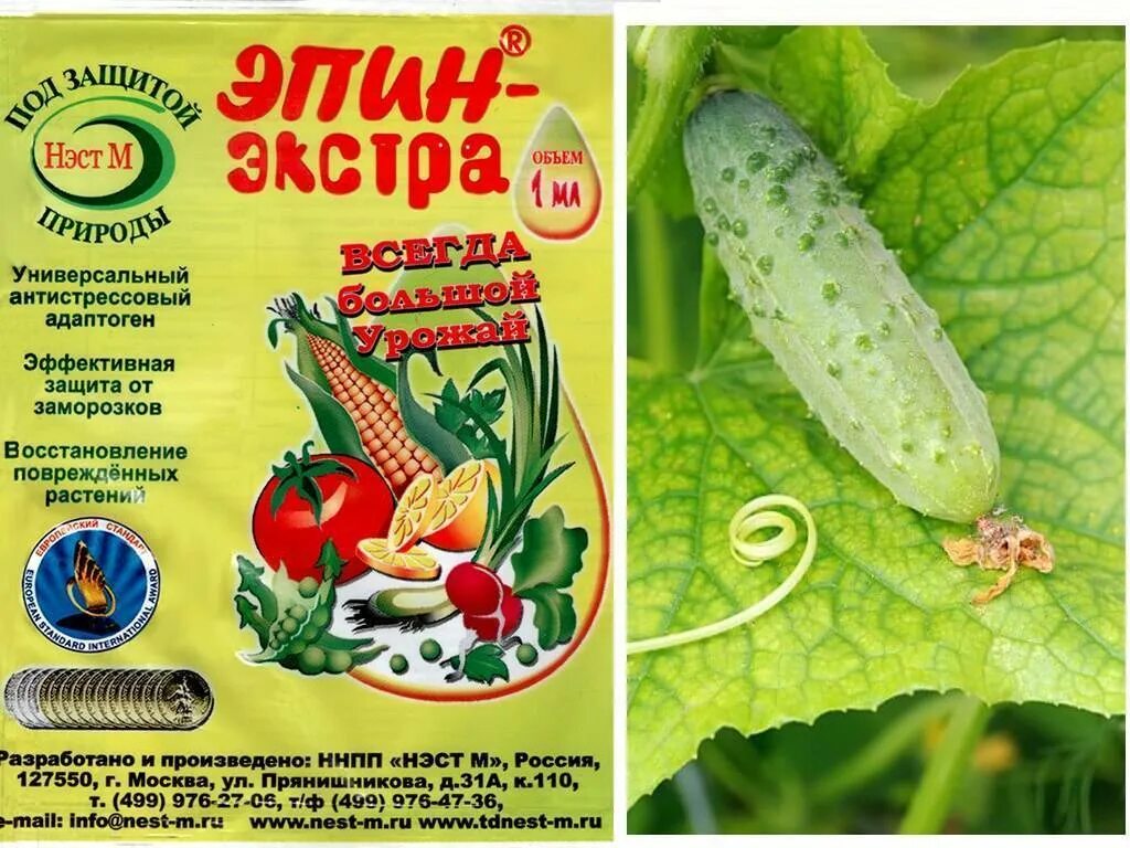 Эпин экстра для чего. Эпин. эпин экстра. эпин для растений. эпин экстра для цветов.