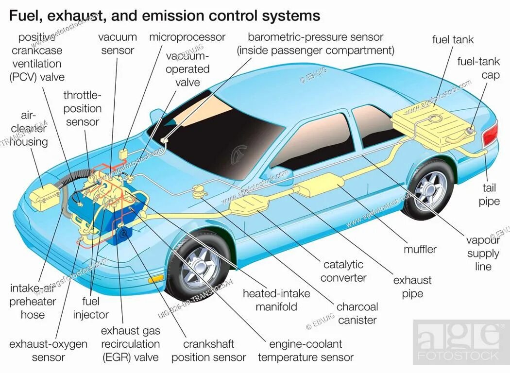Fuel control. Fuel Control System. Car Parts diagram. Car components. Emission Control.