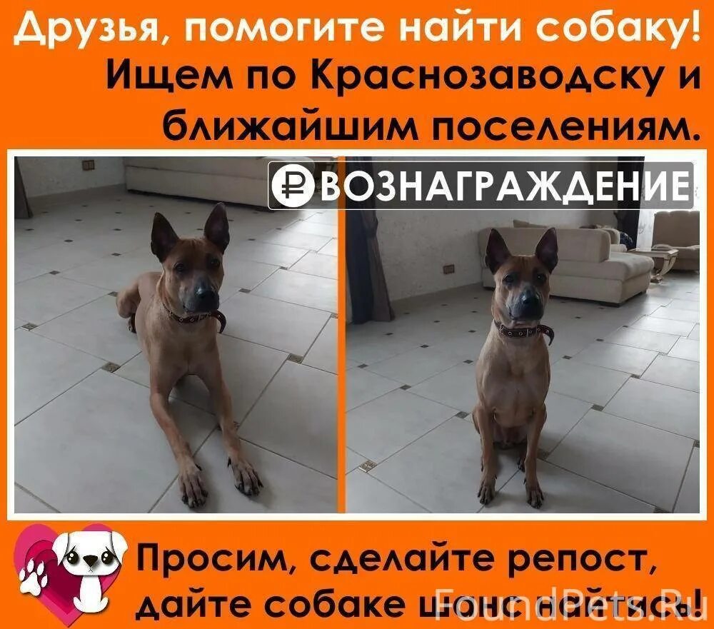Помогаю репостом. Помогаю репостом