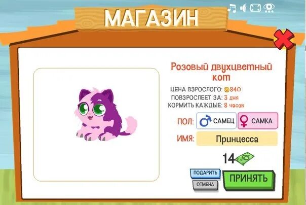Любимчики игра. Новые любимчики. Игры питомцы любимчики. Игры питомцы любимчики. Игра питомцы в одноклассниках.