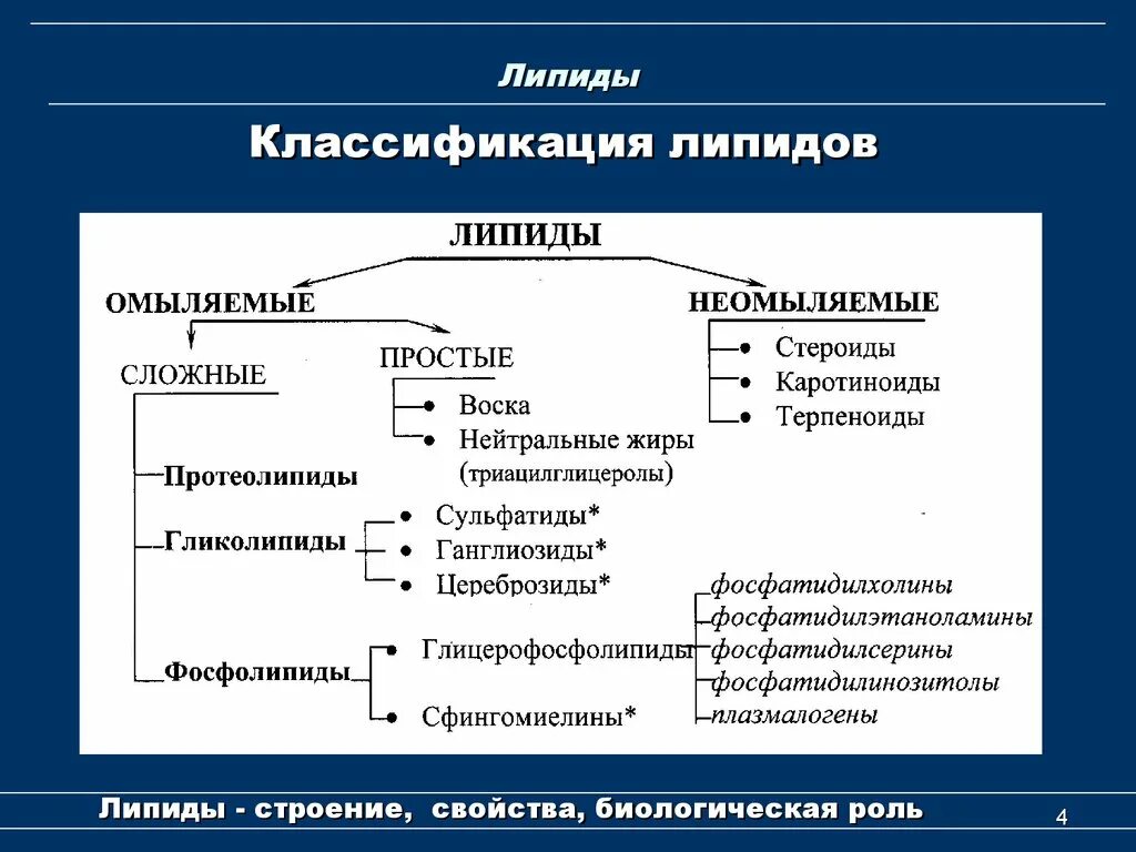 Классификация липидов жирные кислоты. Структура, классификация, функции липидов. Соединения липидов классификация. Классификация, структура и биологическая роль липидов..