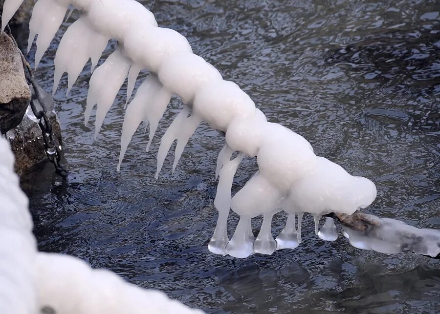 ледниковый период жизнь