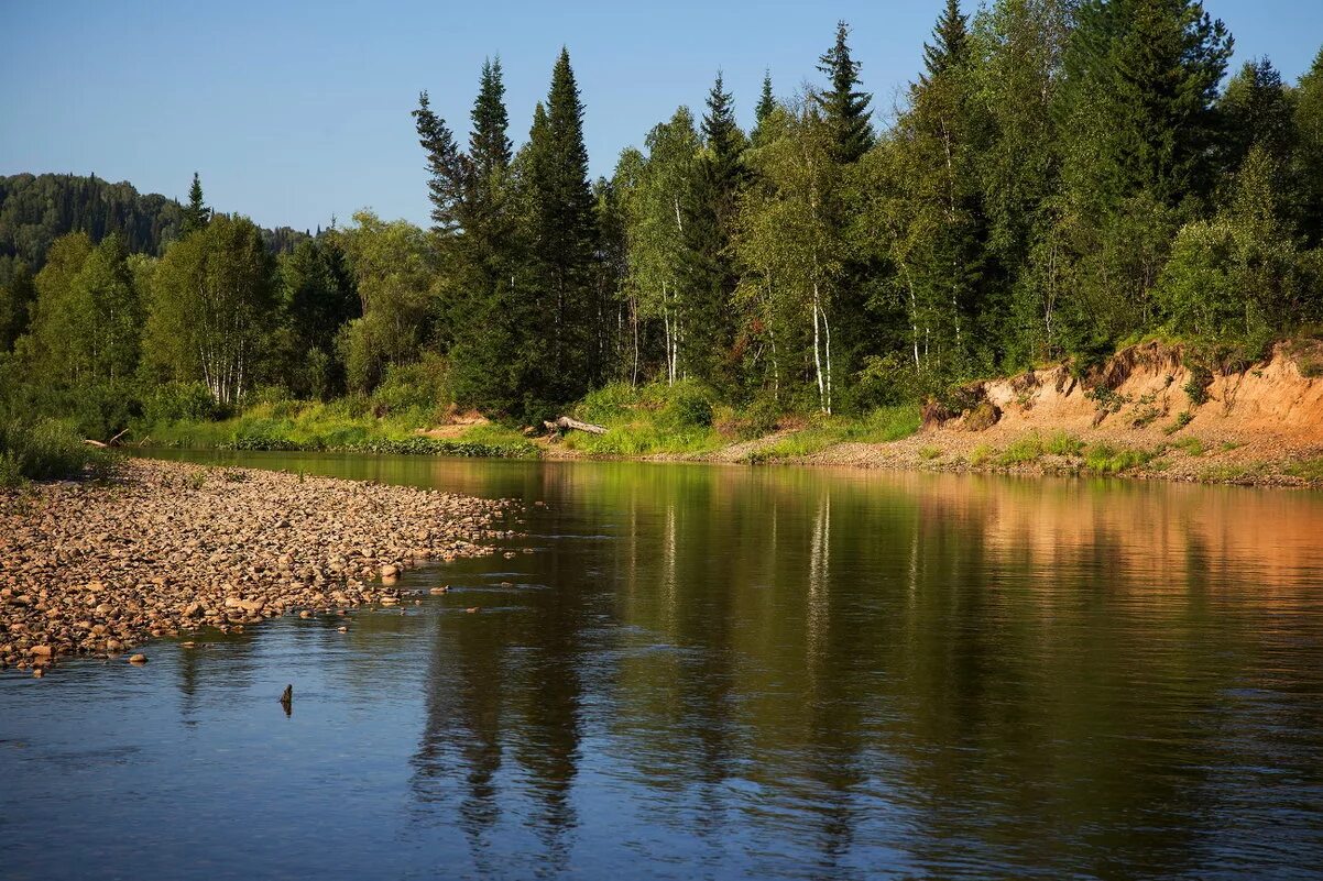 лесной берег. верховье волги тверская область. город луга ленинградской области природа. качагарка лесная речка. река негуч истринский район.