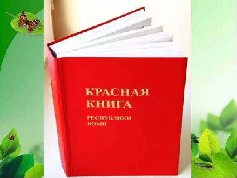 Книга республика россия. Красная книга. Красная книга Республики Коми. Красная книга Республики Коми картинка. Фотография красной книги.