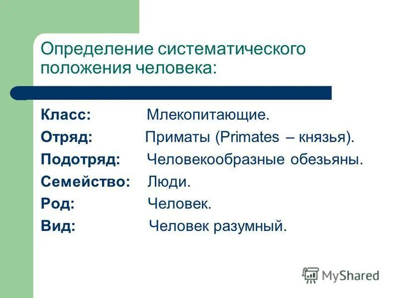 этапы антропогенеза. семейство гоминид, род -- человек. почему человека относят к роду человек. род человек характеристика. род человек характеристика.
