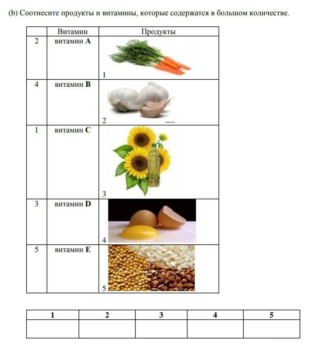 Нем содержатся в большом количестве. Парааминобензойная кислота (витамин b10). Цинк продукты богатые цинком таблица. Продукты богатые витаминов б1 таблица. Продукты содержащие витамин д3 в большом количестве.