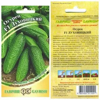 Сорта огурцов для беларуси