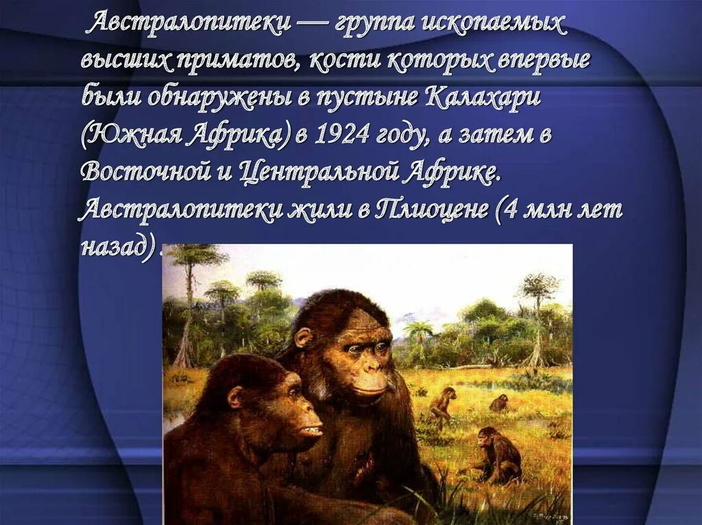 Австралопитеки сообщение. Австралопитек. австралопитеки обитали. австралопитек жил. австралопитек презентация.