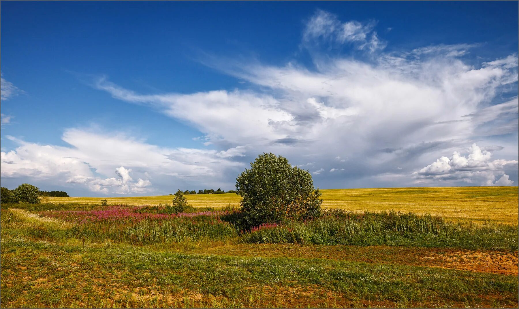 Поле в полдень. Лето полдень. Картинки летний полдень. Жаркий полдень фото.