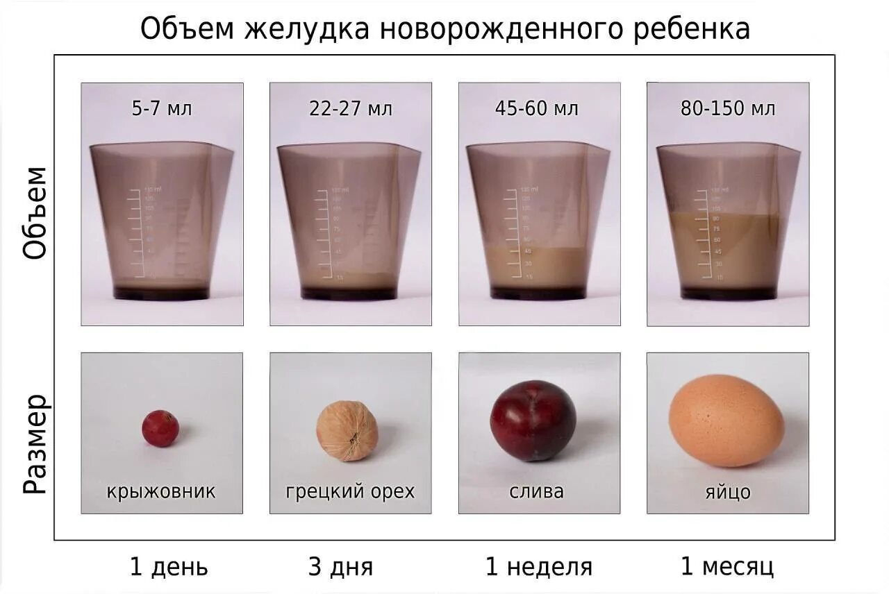 Сколько молозива нужно новорожденному. Размер желудка новорожденного по дням. Размер желудка 2 месячного ребенка. Объем желудка новорожденного. Объем желудка у детей.