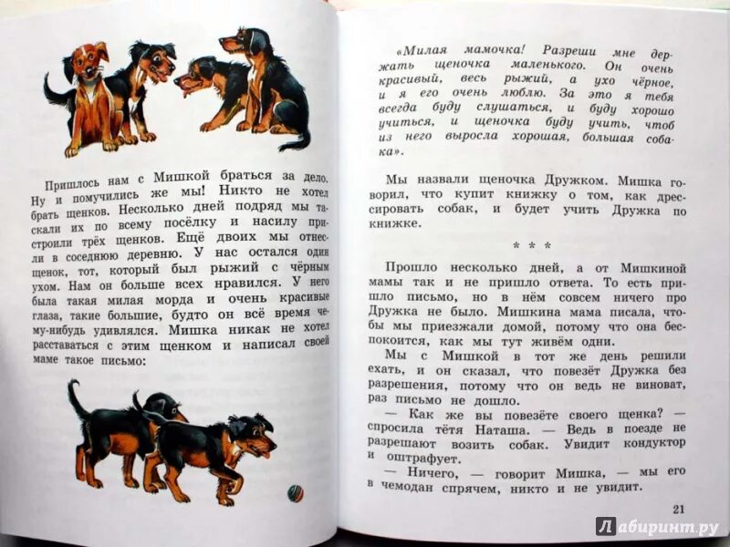 Носов рассказ дружок. План рассказа Носова дружок. Дружок Носов краткое содержание. Составить план к рассказу дружок. Рассказ книга в моей жизни 4 класс