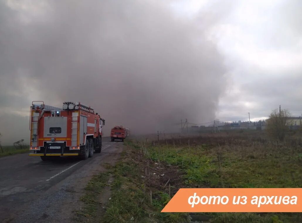 Пожар во всеволожске сегодня. Пожар в осельках. Пожар в ло. Пожар во всеволожске сегодня. Конюшня всеволожск.