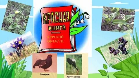 Курская область книги