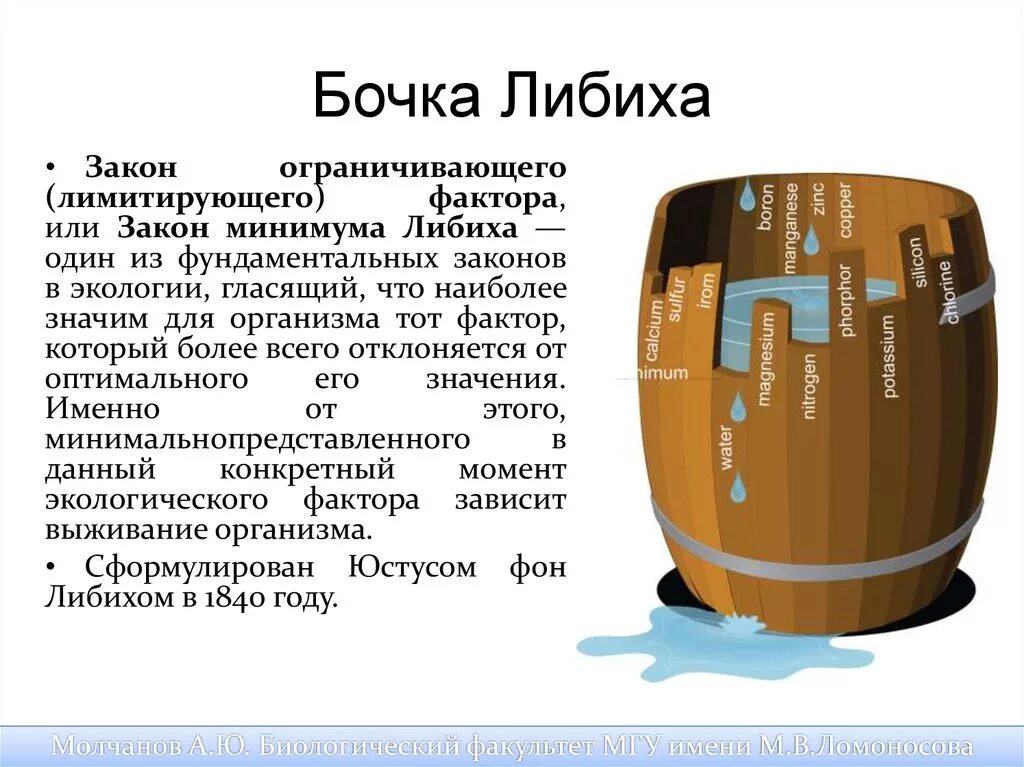 Закон минимума в экологии. Бочка Либиха ЕГЭ биология. Бочка Либиха с аминокислотами ЕГЭ. Бочка Либиха аминокислоты ЕГЭ биология. Бочка Либиха для растений.