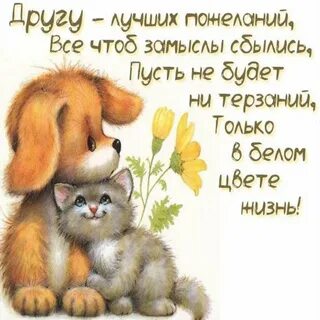 Открытки самому лучшему человеку