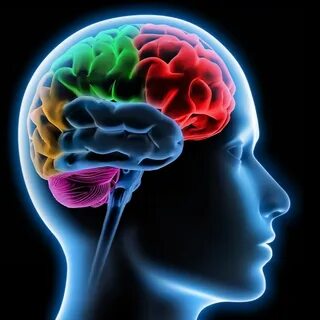 Neuro