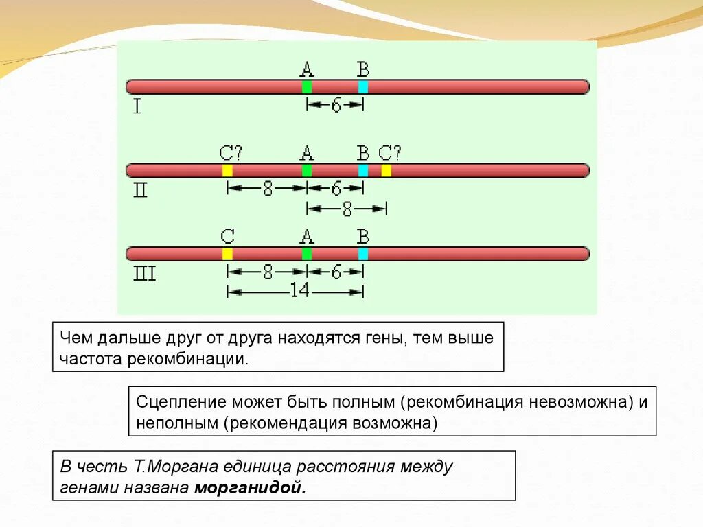 Наследование при полном сцеплении генов. Сцепленное наследование с кроссинговером. Сцепленное наследование полное сцепление. Частота рекомбинации генов формула. Сцепленное наследование генов и кроссинговер морганида.