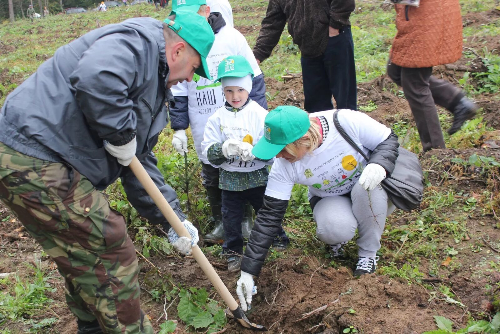 Посади дерево область