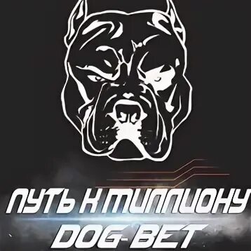 Betting dog