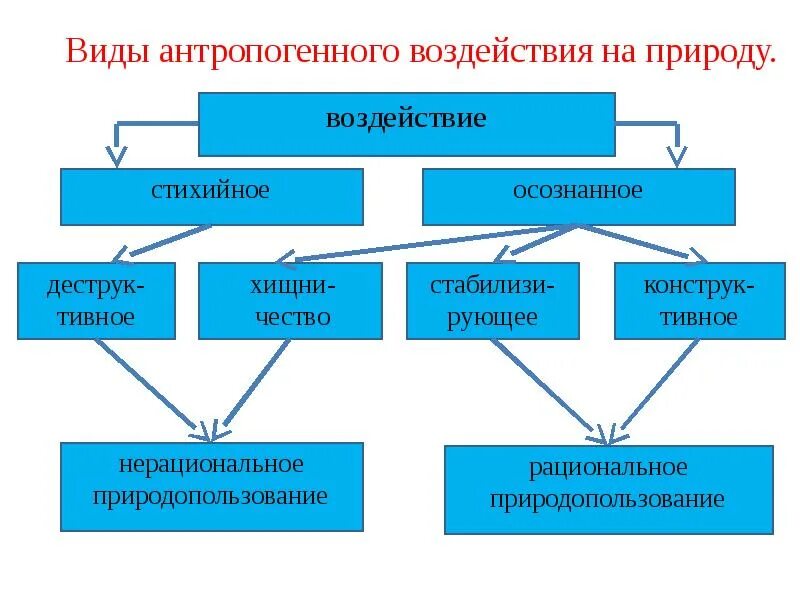 Формы антропогенного воздействия на природу. Антропогенное воздействие примеры. Виды антропогенного воздействия. Примеры антропогенного воздействия на природу.