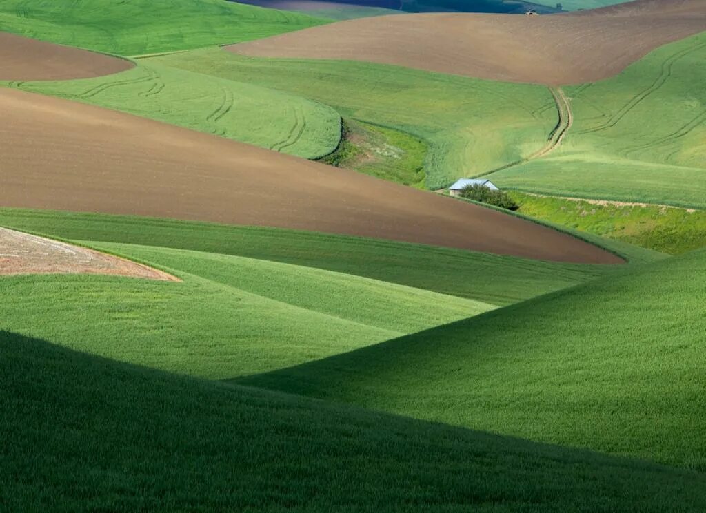 Rolling hills. Холмы Palouse, США. Поле зелень. Безмятежность в высоком разрешении. Идеальное поле.