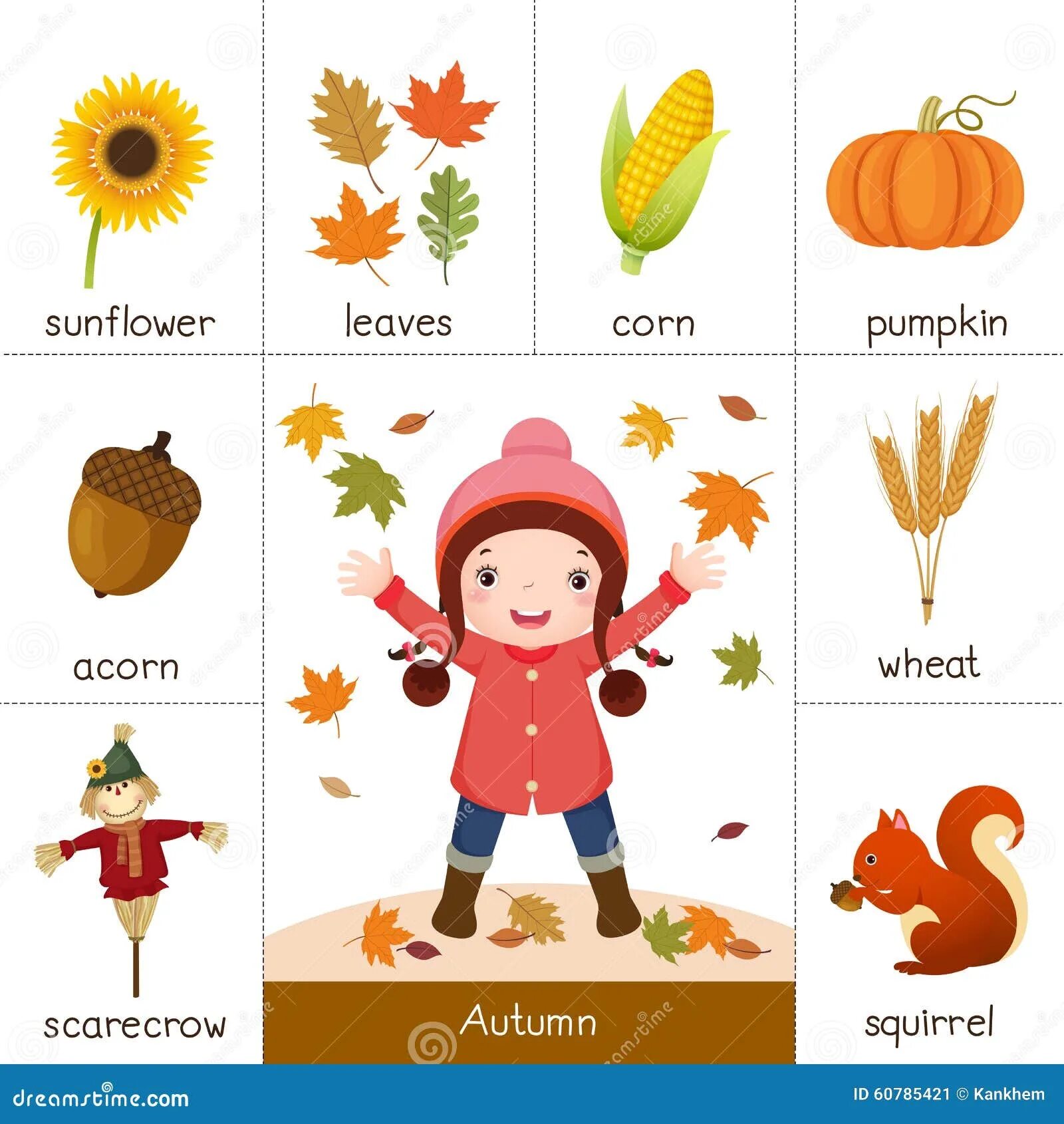 Fall months. Осень карточки для детей. Карточки для детей на тему осень. Осень на английском для детей. Осень на английском карточки.