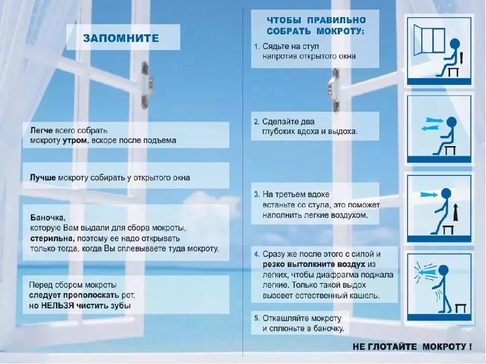 Подготовка к сбору мокроты. Как сдать мокроту на анализ. Как сдать анализ мокро ы. Как дать анализ мокроты. Памятка сбор мокроты.