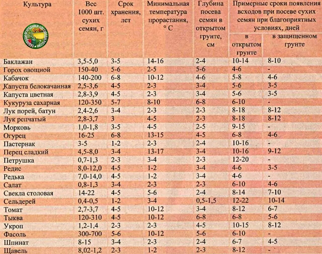 Срок всхожести семян таблица. Таблица всхожести семян овощных. Сроки прорастания семян таблица овощей. Срок хранения семян овощей таблица. Сроки прорастания семян овощных культур.