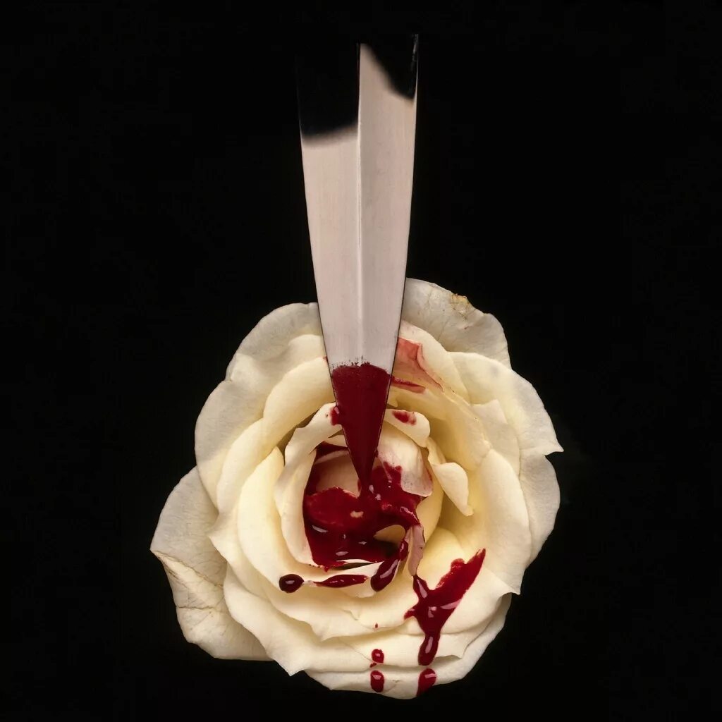 Кровавые цветы 180 фрагмент. Кровавые цветы эстетика. Кровавые цветы 180 фрагмент. Кровавые цветы 180 фрагмент. Кровавые цветы 180 фрагмент.