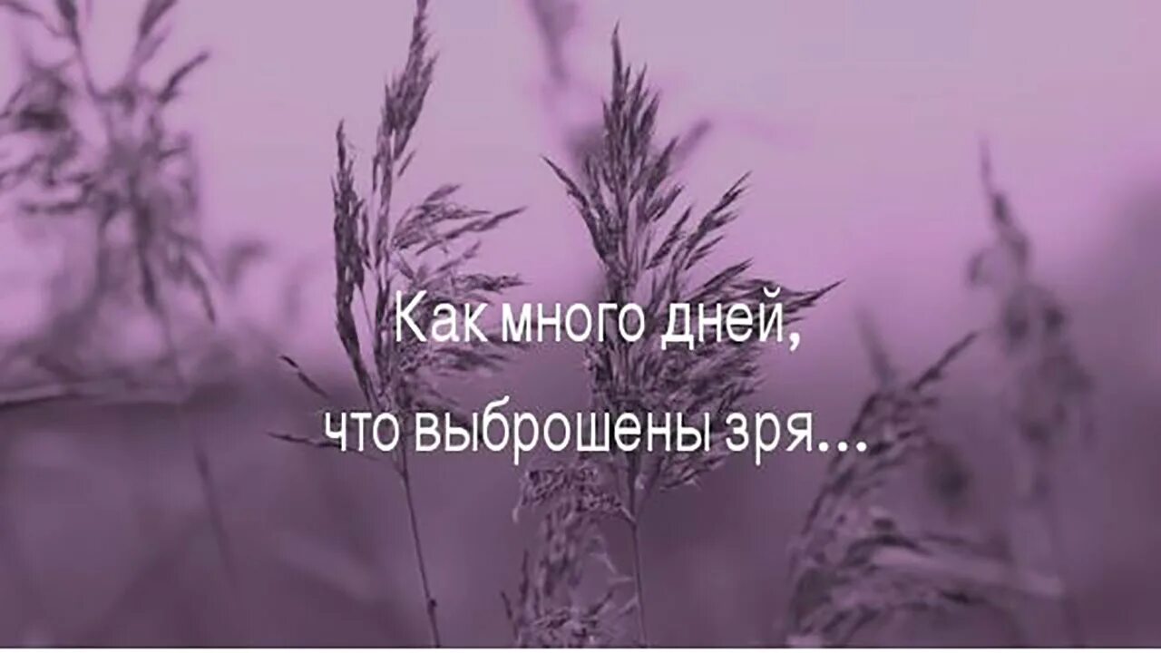 Люди зря песня. Как много дней что выброшены зря. Как много дней что выброшены зря стихи. Как много дней что выброшены зря Рязанов. Как много дней что выброшены зря стихи Эльдара Рязанова.