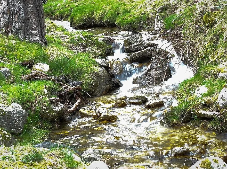 Потоки с гор воды. Источник воды в лесу. Источник воды в горах. Река ручей Естественные потоки. Ключевая вода в лесу.